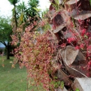 Detalle Jardín Apartamentos Pulide Detalle Jardín Apartamentos Pulide • <a style="font-size:0.8em;" href="https://www.flickr.com/photos/79534599@N04/7363571482/" target="_blank">View on Flickr</a>