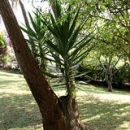 Jardín Apartamentos Rurales Pulide Jardín Apartamentos Rurales Pulide • <a style="font-size:0.8em;" href="https://www.flickr.com/photos/79534599@N04/7178348885/" target="_blank">View on Flickr</a>