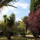 Jardín Apartamentos Pulide Jardín Apartamentos Pulide • <a style="font-size:0.8em;" href="https://www.flickr.com/photos/79534599@N04/7178347865/" target="_blank">View on Flickr</a>