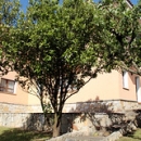 Acceso Apartamento La Braña Acceso Apartamento La Braña • <a style="font-size:0.8em;" href="https://www.flickr.com/photos/79534599@N04/7180840877/" target="_blank">View on Flickr</a>