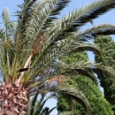 Jardín Apartamentos Pulide Jardín Apartamentos Pulide • <a style="font-size:0.8em;" href="https://www.flickr.com/photos/79534599@N04/7178346107/" target="_blank">View on Flickr</a>