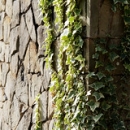 Detalle Jardín Apartamentos Pulide Detalle Jardín Apartamentos Pulide • <a style="font-size:0.8em;" href="https://www.flickr.com/photos/79534599@N04/7178347007/" target="_blank">View on Flickr</a>