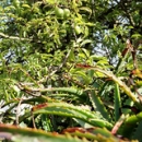 Detalle Jardín Apartamentos Pulide Detalle Jardín Apartamentos Pulide • <a style="font-size:0.8em;" href="https://www.flickr.com/photos/79534599@N04/7178348133/" target="_blank">View on Flickr</a>